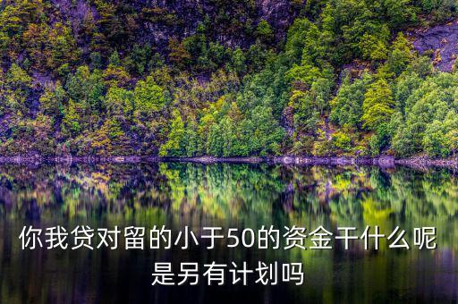 你我貸為什么我要投2萬才能減50，你我貸對留的小于50的資金干什么呢是另有計劃嗎