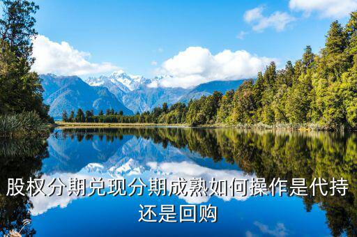 什么叫股權(quán)成熟期，VCPE什么意思