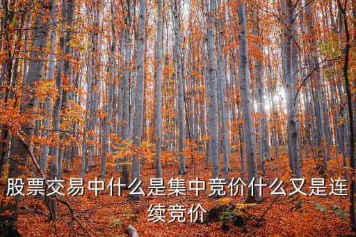 集合競價是什么意思，股票交易中什么是集中競價什么又是連續(xù)競價