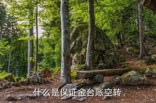 什么是資金空轉，資金沖轉的含義是什么名詞解釋