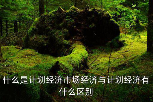 什么是市場經(jīng)濟(jì)和計劃經(jīng)濟(jì)，什么叫市場經(jīng)濟(jì)