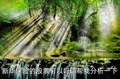 新華保險為什么股票漲這么多，新華保險的股票可以嗎請幫我分析一下