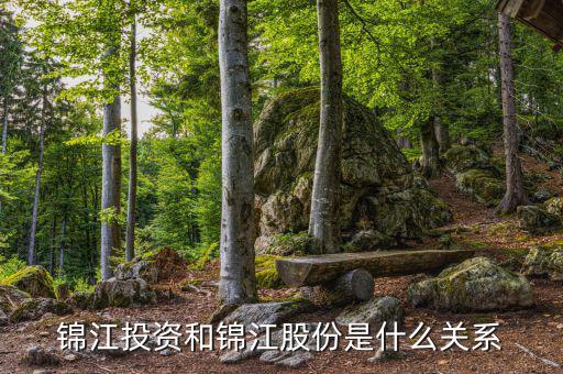 錦江投資是什么板塊，錦江投資和錦江股份是什么關(guān)系