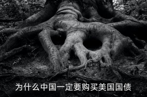 中國為什么買美國的國債，中國為什么要買那么多美國國債能不能說得通俗一點(diǎn)我不太懂經(jīng)濟(jì)