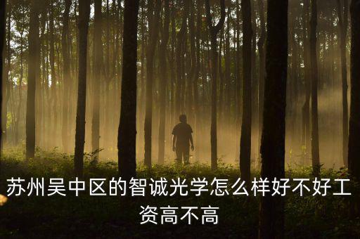 智誠光學(xué)里面主要生產(chǎn)什么，蘇州智誠光學(xué)公司怎么樣