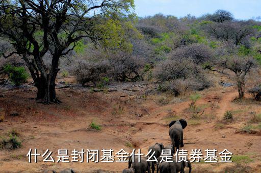 什么是封閉式債券基金，封閉式債券基金是怎么回事