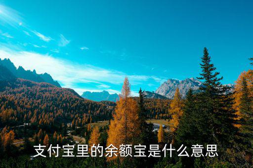支付寶余額寶是什么，支付寶里的余額寶是什么意思