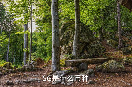 sgd是什么幣種，SG是什么幣種
