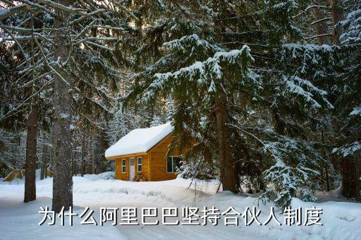 阿里巴巴為什么要推出合伙人制度，為什么阿里巴巴堅(jiān)持合伙人制度