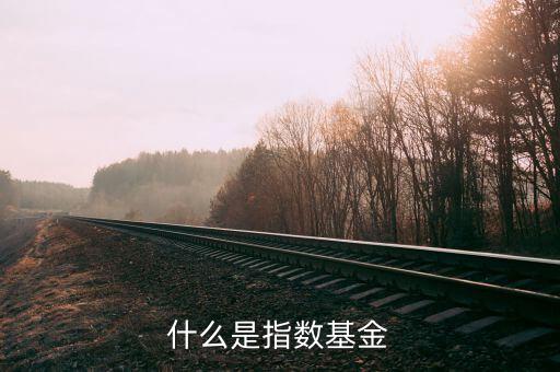 什么是指數(shù)基金，什么是指數(shù)基金