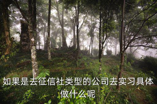 中債資信實(shí)習(xí)生做什么，如果是去征信社類型的公司去實(shí)習(xí)具體做什么呢