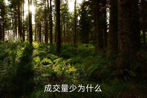 成交量小是什么原因，成交量少為什么