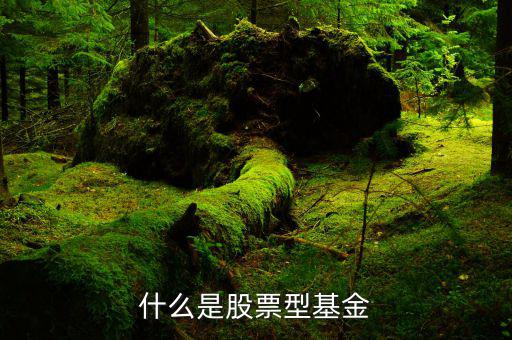 什么是權(quán)重股票基金，什么是股票型基金
