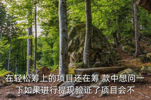 輕松籌提現(xiàn)有什么審核，輕松籌審核條件