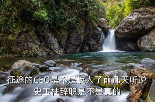 征途的CEO是不是換人了前幾天聽說(shuō)史玉柱辭職是不是真的