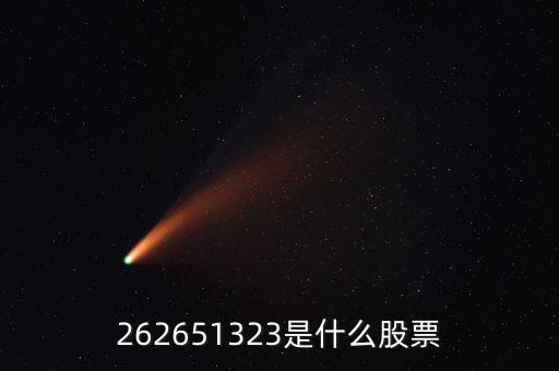 208393股票是什么，262651323是什么股票