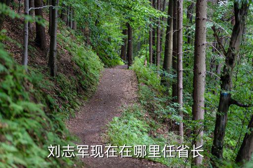 劉志軍為什么被查，劉志軍現(xiàn)在在哪里任省長