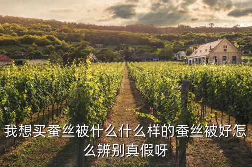 我想買(mǎi)蠶絲被什么什么樣的蠶絲被好怎么辨別真假呀