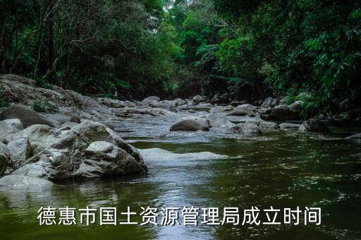 什么時候成立國土部門，德惠市國土資源管理局成立時間