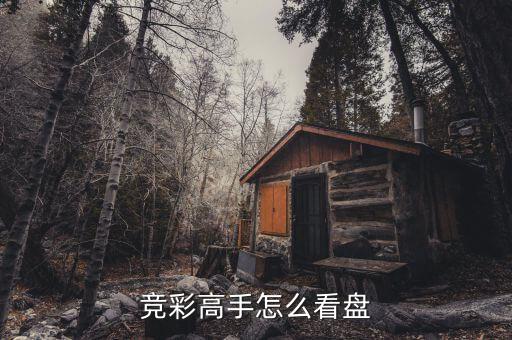 高手看盤看什么，想問一些那些股林高手們你們一般是怎么選擇買股票的主要看什么
