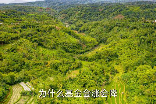 基金為什么會漲跌，基金有漲有落的原因