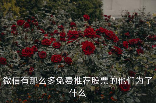 免費(fèi)股票為什么，微信有那么多免費(fèi)推薦股票的他們?yōu)榱耸裁?/></a></span><span id=