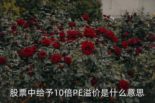 股票10倍市盈率什么意思，買10倍市盈率上下的大盤股什么意思