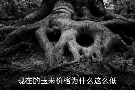 現(xiàn)在為什么糧食價格低，為什么糧食越來越便宜