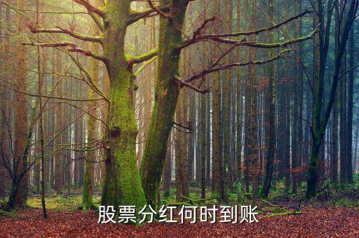 分紅什么時候到賬，分紅的金額什么時候會到賬戶