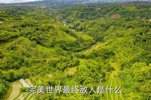 什么是對手盤，完美世界最終敵人是什么