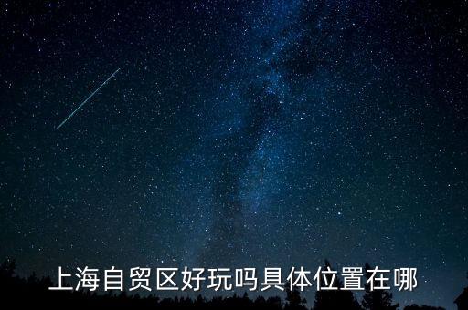 上海自貿(mào)區(qū)有什么好玩的，上海自貿(mào)區(qū)參觀有啥好玩的