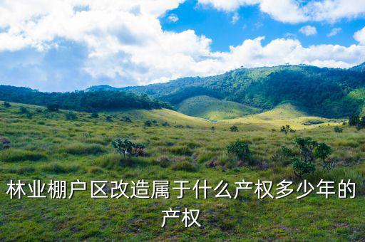 什么是林業(yè)棚戶區(qū)，請問蛟河林業(yè)棚戶區(qū)建造的樓房為什么收取物業(yè)費會和取暖費捆綁在一
