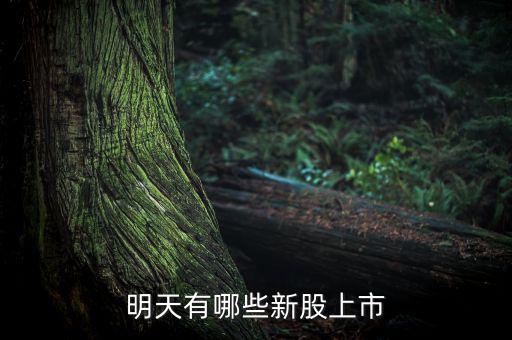 明天什么股票上市，明天有哪些新股上市