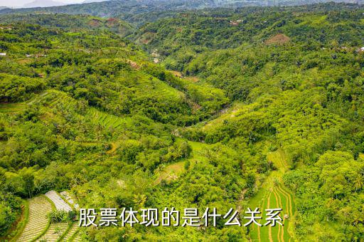 股票體現(xiàn)的是什么，股票到底反映的是什么