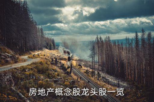 地產(chǎn)業(yè)有什么股票，房地產(chǎn)股票有哪些