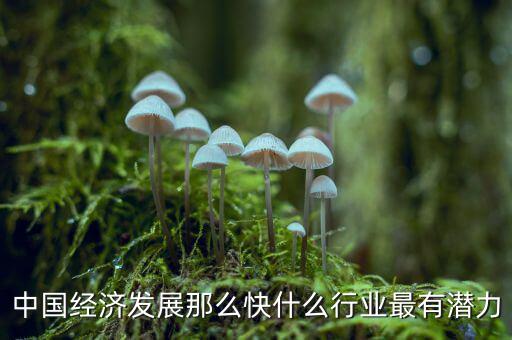 未來中國經(jīng)濟什么行業(yè)可以，中國經(jīng)濟發(fā)展那么快什么行業(yè)最有潛力