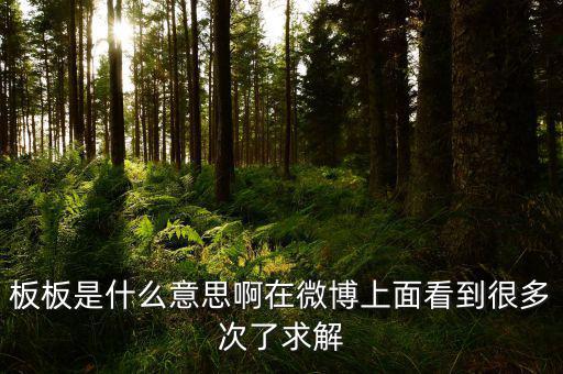 要板了是什么意思，板板是什么意思啊在微博上面看到很多次了求解
