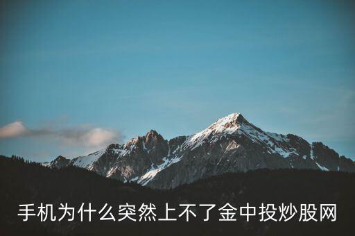 為什么不能用金航線炒股，中航證券的金航線手機(jī)版為什么不能申購(gòu)新股