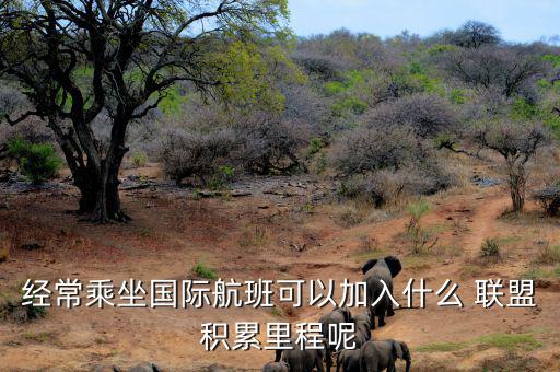 星空聯(lián)盟積分怎么算,南航、東航可通過明珠卡共享積分等