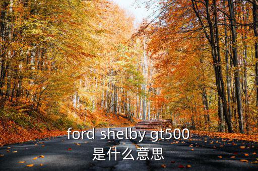 東盟油500是什么，ford shelby gt500是什么意思