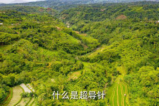 射頻超導(dǎo)腔是什么，什么是超導(dǎo)針
