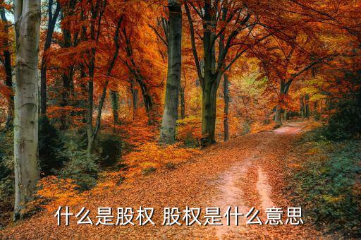 什么是股權(quán)合作，股權(quán)是什么意思