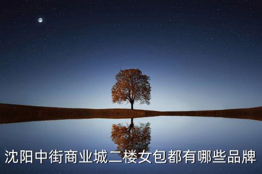 中街商業(yè)城都有什么品牌，沈陽中街商業(yè)城二樓女包都有哪些品牌