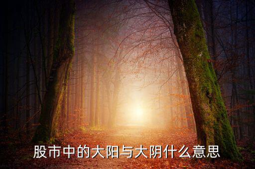 股票大陽(yáng)是什么意思，股市中的大陽(yáng)與大陰什么意思