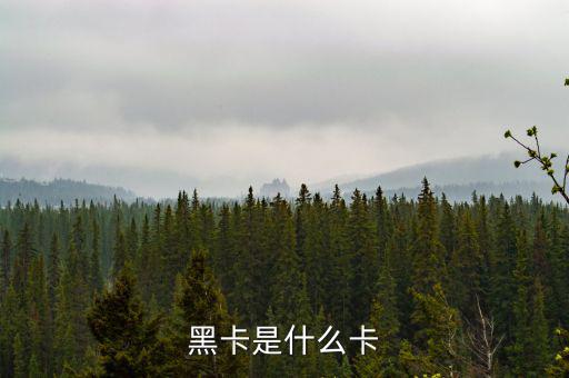 銀行卡黑卡是什么級(jí)別，黑卡是什么卡
