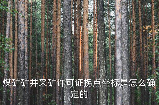 礦區(qū)范圍拐點坐標什么意思，煤礦礦井采礦許可證拐點坐標是怎么確定的
