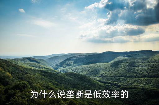 壟斷的無(wú)效率是什么，為什么說(shuō)壟斷會(huì)導(dǎo)致低效率