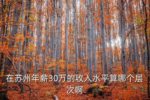 年薪三十萬元處于什么階層，在蘇州年薪30萬的收入水平算哪個層次啊