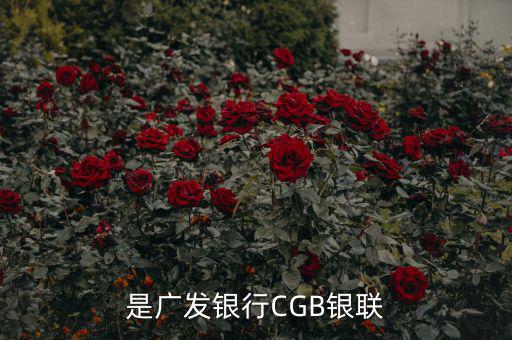 廣發(fā)銀行是什么，廣發(fā)銀行跟廣東發(fā)展銀行是同一個(gè)銀行嗎