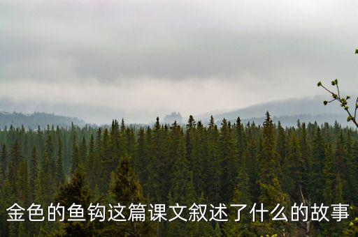 金這篇課文是一篇什么文，金子這篇課文使我們懂得了什么道理